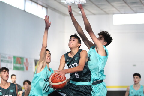 CÁDIZ - JAÉN