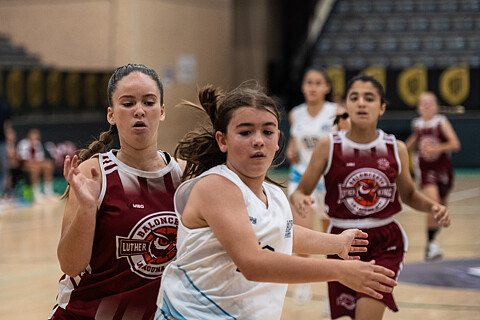 LUTHER KING - MULTIBASKET
