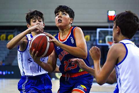SESE - MAJADAHONDA