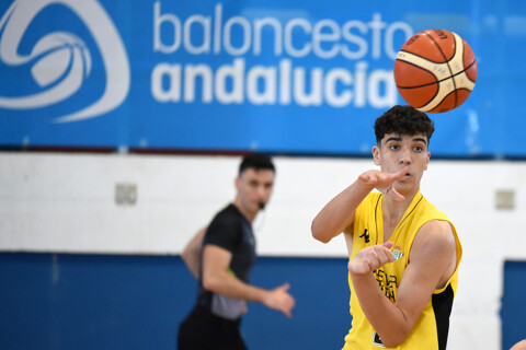 PARTIDOS