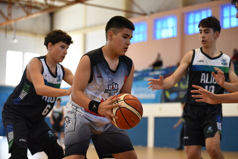 LINABASKET LEPE ALIUS