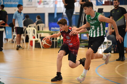 LINABASKET -- BETIS